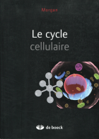 Image de couverture locale