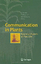 Image de couverture locale