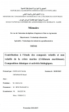 Image de couverture locale