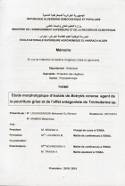 Image de couverture locale