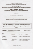 Image de couverture locale
