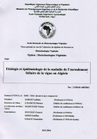 Image de couverture locale