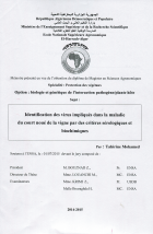 Image de couverture locale