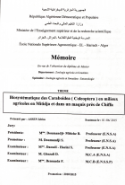 Image de couverture locale