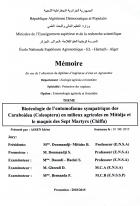 Image de couverture locale