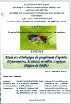 Image de couverture locale