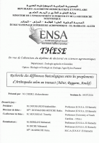 Image de couverture locale