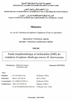 Image de couverture locale