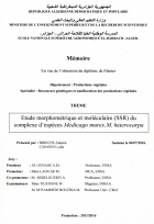 Image de couverture locale