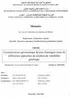 Image de couverture locale