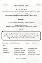 Image de couverture locale