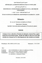 Image de couverture locale