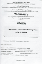 Image de couverture locale
