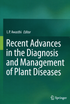 Image de couverture locale