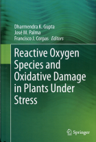 Image de couverture locale