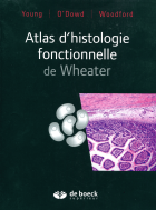 Image de couverture locale