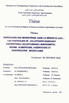 Image de couverture locale