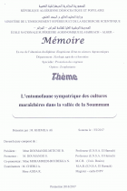 Image de couverture locale