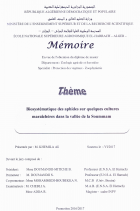 Image de couverture locale