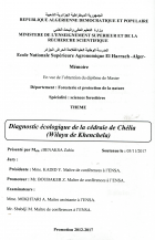 Image de couverture locale