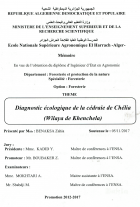 Image de couverture locale