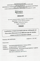 Image de couverture locale