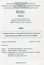 Image de couverture locale