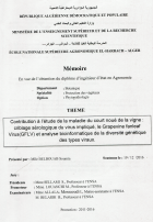 Image de couverture locale