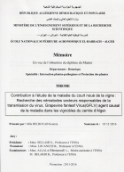 Image de couverture locale