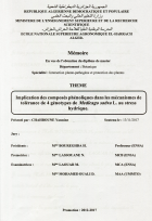 Image de couverture locale