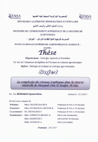 Image de couverture locale