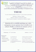 Image de couverture locale