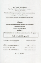 Image de couverture locale