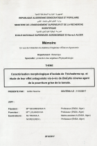 Image de couverture locale