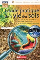 Image de couverture locale
