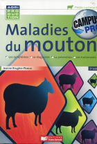 Image de couverture locale
