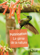 Image de couverture locale