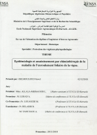 Image de couverture locale
