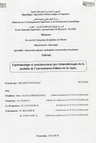 Image de couverture locale