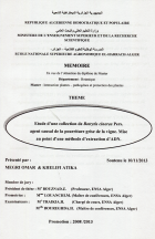 Image de couverture locale