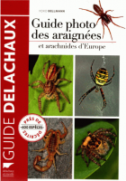 Image de couverture locale