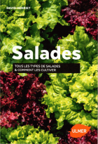 Image de couverture locale