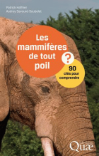 Image de couverture locale