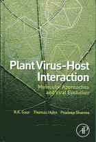 Image de couverture locale