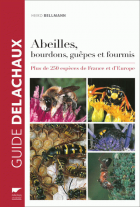 Image de couverture locale