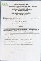 Image de couverture locale