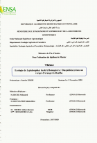 Image de couverture locale