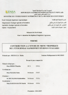 Image de couverture locale