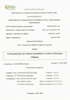 Image de couverture locale