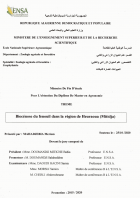 Image de couverture locale